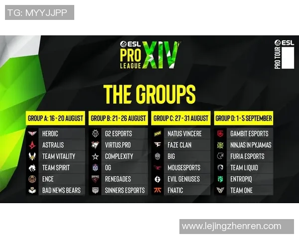 深度探讨黄芳在CSGO世界中的成长与挑战之路